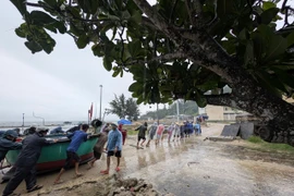 Hơn 5.700 tàu thuyền của tỉnh Gia Lai chủ động phòng tránh bão số 13