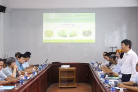 Đẩy mạnh mô hình tưới ngập khô xen kẽ, hướng tới nền nông nghiệp lúa bền vững