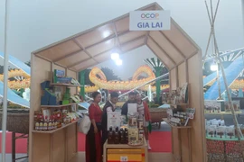 Gia Lai có 23 sản phẩm nông nghiệp tiêu biểu tham gia Festival OCOP Việt Nam 2025.
