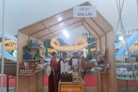 Gia Lai có 23 sản phẩm nông nghiệp tiêu biểu tham gia Festival OCOP Việt Nam 2025.
