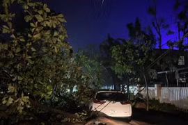 Bão số 13 gây nhiều thiệt hại tại các xã, phường phía Đông tỉnh Gia Lai