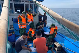 Tàu cá tỉnh Gia Lai bị tàu nước ngoài tông chìm xuống biển