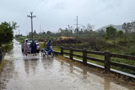 Mưa lớn tại Vĩnh Thạnh gây sạt lở nghiêm trọng