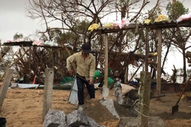 Tăng cường phòng, chống dịch bệnh cho đàn vật nuôi sau bão lũ