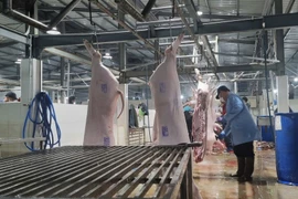 Gia Lai hỗ trợ đến 60% vốn đầu tư xây dựng cơ sở giết mổ tập trung.