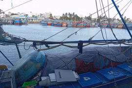  Gia Lai kêu gọi tàu cá đang hoạt động di chuyển ra khỏi vùng nguy hiểm của cơn bão Matmo