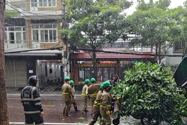 Công nhân môi trường nỗ lực thu gom cây, cỏ, rác sau bão số 13