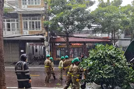 Công nhân môi trường nỗ lực thu gom cây, cỏ, rác sau bão số 13