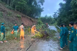 Gia Lai: Mưa lớn gây sạt lở, ngập úng nhiều nơi