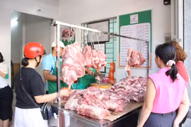 Khai trương cửa hàng thịt heo sạch Phú Hưng Farm, cung ứng thực phẩm an toàn 