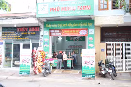 Phú Hưng Farm ra mắt cửa hàng thịt heo sạch thứ hai tại khu vực Quy Nhơn