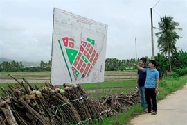 Dự án đường sắt tốc độ cao Bắc - Nam qua phường Bồng Sơn: Địa phương chủ động, nhân dân đồng thuận