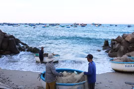 Các địa phương theo dõi, thông báo cho thuyền trưởng, chủ các phương tiện, tàu thuyền neo đậu tại bến hoặc đang hoạt động trên biển biết để chủ động phòng tránh bão. Ảnh: Q.T