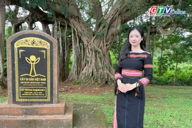 Cây đa di sản làng Ghè