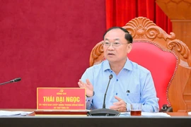 Bí thư Tỉnh ủy Thái Đại Ngọc phát biểu tại phiên họp. Ảnh: Đức Thụy