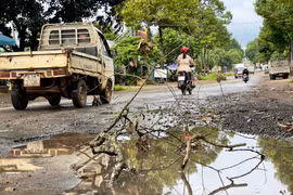 Đường Ngô Quyền (đoạn qua thôn 1, xã Trà Đa) xuất hiện chi chít ổ gà, ổ voi, nhiều vũng nước sâu tiềm ẩn nguy cơ xảy ra tai nạn giao thông. Ảnh: Minh Phương