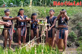 Lễ cúng bến nước người Bahnar ở huyện Kbang