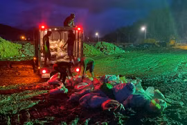 Số da heo bốc mùi hôi thối phát hiện tại cơ sở lạp xưởng Gia Quý được đưa đi tiêu hủy.