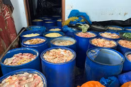 Gần 5 tấn da heo bốc mùi hôi thối, không rõ nguồn gốc tại cơ sở lạp xưởng Gia Quý