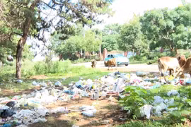 Hàng chục điểm tập kết rác thải gây ô nhiễm môi trường trên đường Trường Sa