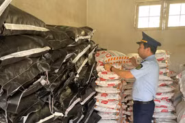 Toàn cảnh Gia Lai 24h: Phạt hơn 152 triệu đồng doanh nghiệp phân bón vi phạm tại Mang Yang