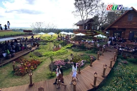 Toàn cảnh Gia Lai 24h: Rộn ràng đón du khách gần xa trong mùng 3 Tết