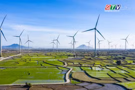 Toàn cảnh Gia Lai 24h: Mời gọi đầu tư 12 dự án điện gió, điện mặt trời