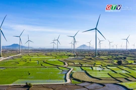 Toàn cảnh Gia Lai 24h: Mời gọi đầu tư 12 dự án điện gió, điện mặt trời