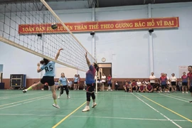 Phường Pleiku tổ chức giải bóng chuyền nam - nữ kết hợp công nhân, viên chức năm 2026