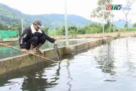 Triển vọng nuôi cá tầm tại “ốc đảo” Kon Pne