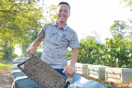 Rong ruổi theo cánh ong bay