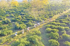 Ðổi thay trên đất cách mạng Bàu Cạn