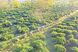 Ðổi thay trên đất cách mạng Bàu Cạn