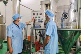 Hoạt động khuyến công: Ðòn bẩy nâng cao năng lực sản xuất cho kinh tế tư nhân