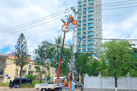 Đội Quản lý điện Quy Nhơn gia cố cột, thay dây dẫn, thiết bị xuống cấp. Ảnh: Hải Yến
