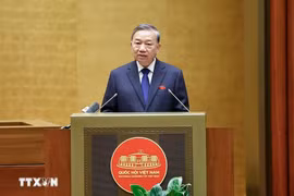 Tổng Bí thư Tô Lâm. Ảnh: Doãn Tấn/TTXVN