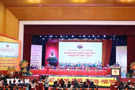 Đại biểu biểu quyết thông qua chương trình, nội quy, quy chế của đại hội. (Ảnh: Thống Nhất/TTXVN)