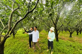 Xã Tây Sơn hỗ trợ người dân thoát nghèo, vươn lên làm giàu