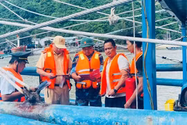 Chống khai thác IUU: Kiểm soát chặt, giám sát tối đa