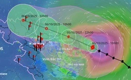 Bão số 11 Matmo chiều tối nay đi vào vịnh Bắc Bộ