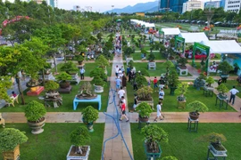 Quảng trường Quy Nhơn là không gian lý tưởng để tổ chức các sự kiện sinh vật cảnh quy mô lớn. Ảnh: Ngọc Nhuận