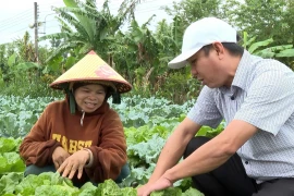 Cán bộ Phòng Kinh tế xã Vĩnh Sơn tham quan mô hình trồng rau ôn đới của chị Đinh Thị Boi (làng K3, xã Vĩnh Sơn). Ảnh: Đ.T