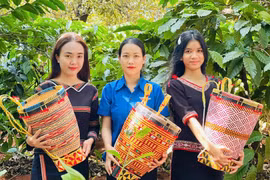 Ðảng viên trẻ góp sức xây dựng quê hương