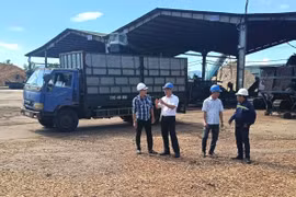 Lãnh đạo xã Bình Khê khảo sát thực tế và động viên, hỗ trợ doanh nghiệp đang hoạt động sản xuất kinh doanh trong Cụm công nghiệp Tây Giang. Ảnh: T.Sỹ