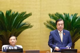 Phó Chủ tịch Quốc hội Lê Minh Hoan phát biểu. Ảnh: Doãn Tấn/TTXVN