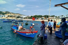 Các địa phương ven biển đang siết chặt công tác quản lý, kiên quyết xử lý nghiêm tàu cá vi phạm IUU. Ảnh: N.N