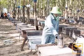 Chị Nguyễn Thị Kim Hân (khối Phú Xuân, xã Tây Sơn, bên trái) hướng dẫn lao động nữ làm việc tại cơ sở may của mình. Ảnh: Hải Yến