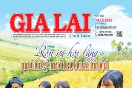 Báo Gia Lai số cuối tuần ngày 14-12-2025