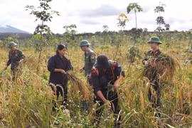 Binh đoàn 15 đồng hành nâng cao đời sống người dân