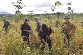 Binh đoàn 15 đồng hành nâng cao đời sống người dân